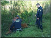 Záchrana 3 kusů dobytka